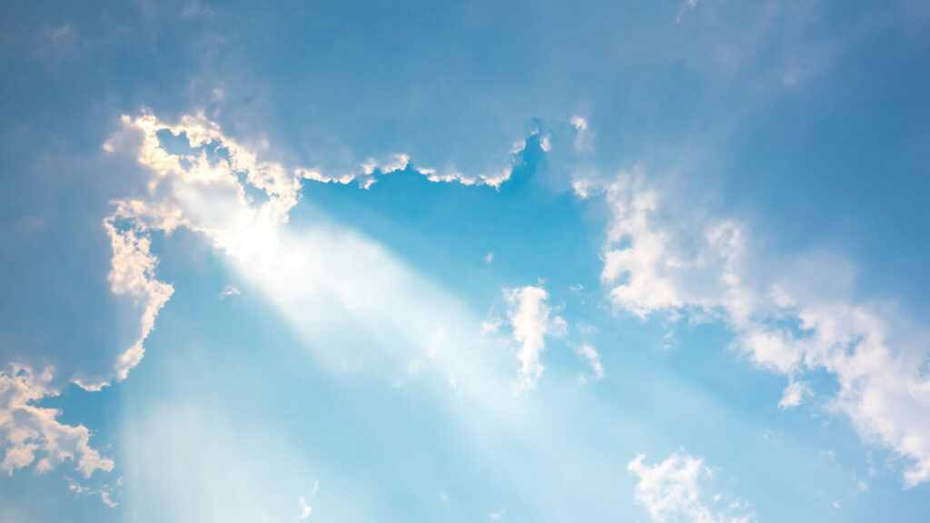 タティモ関連画像